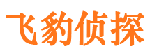 乾安市侦探调查公司